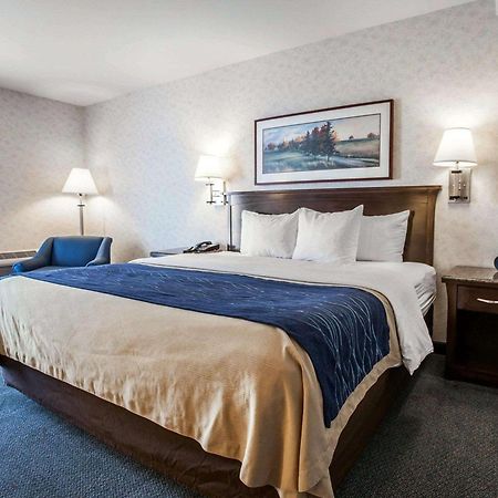Comfort Inn Bellingham Extérieur photo