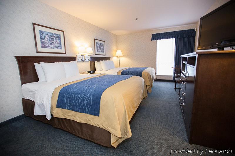 Comfort Inn Bellingham Extérieur photo