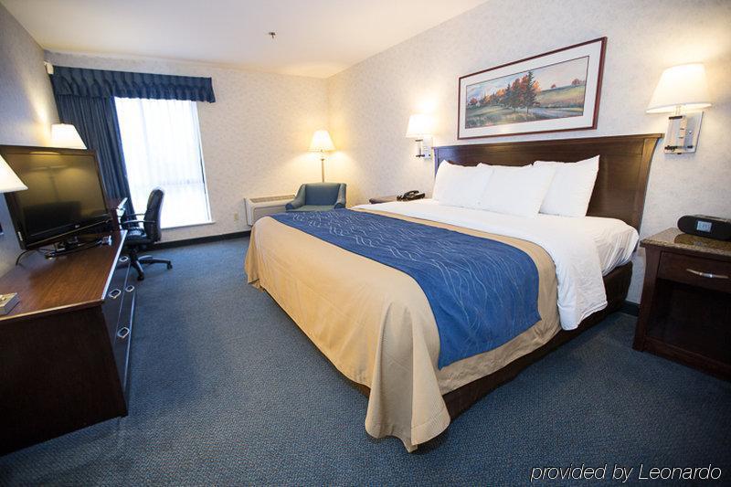 Comfort Inn Bellingham Extérieur photo