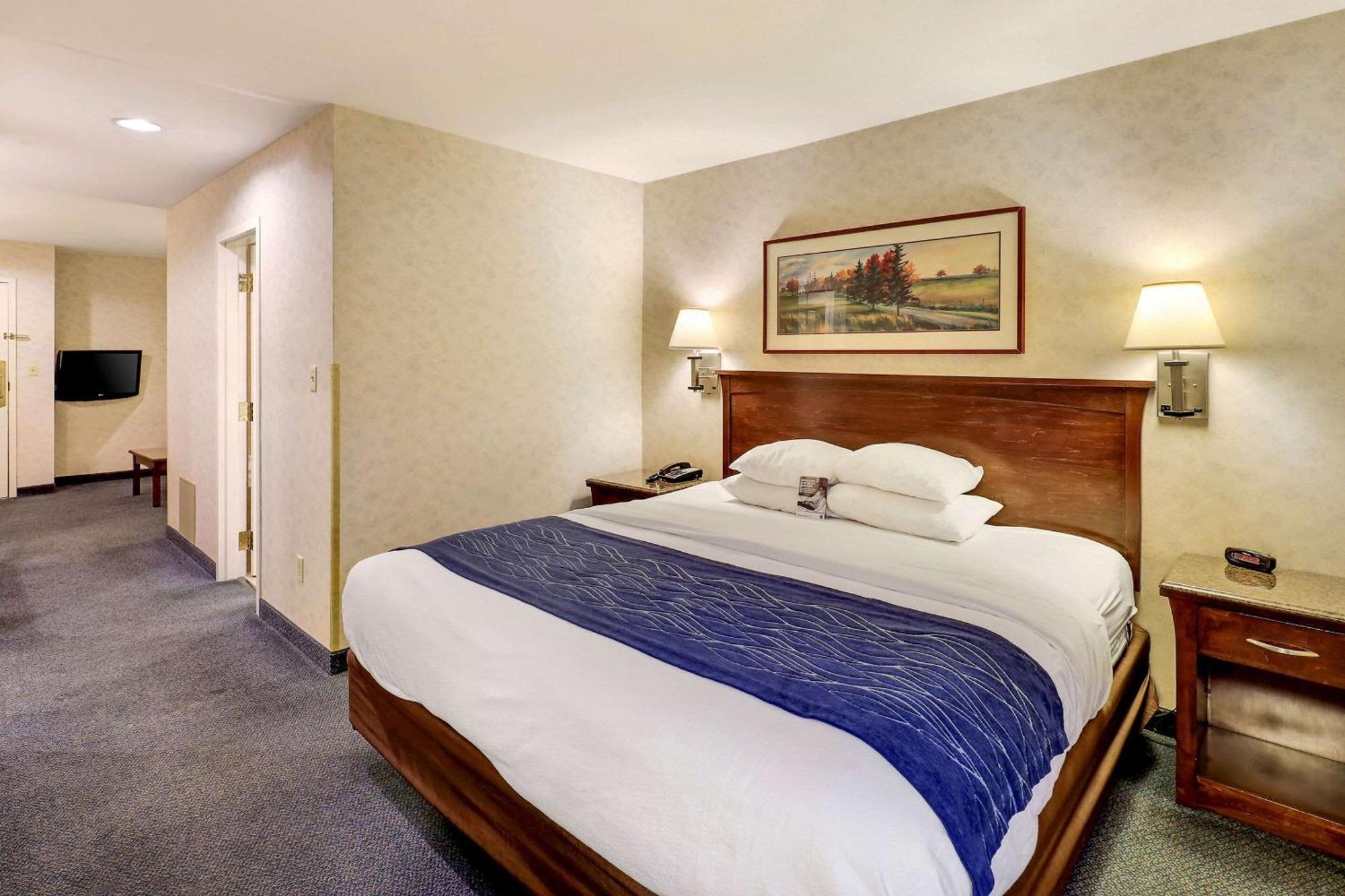 Comfort Inn Bellingham Extérieur photo