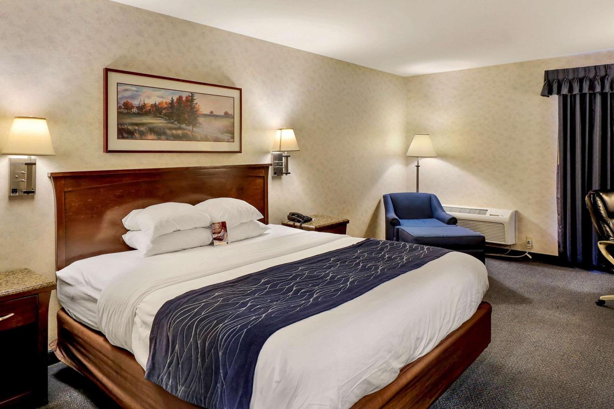 Comfort Inn Bellingham Extérieur photo
