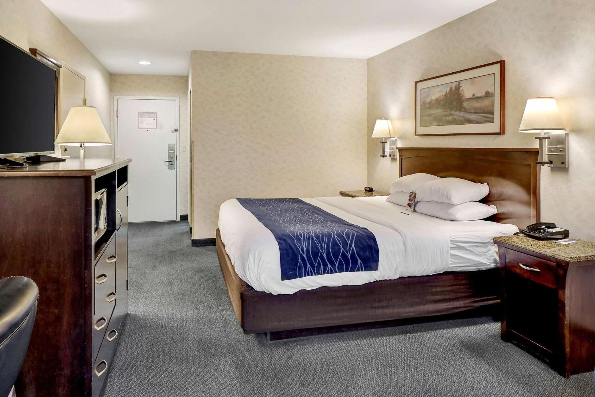 Comfort Inn Bellingham Extérieur photo