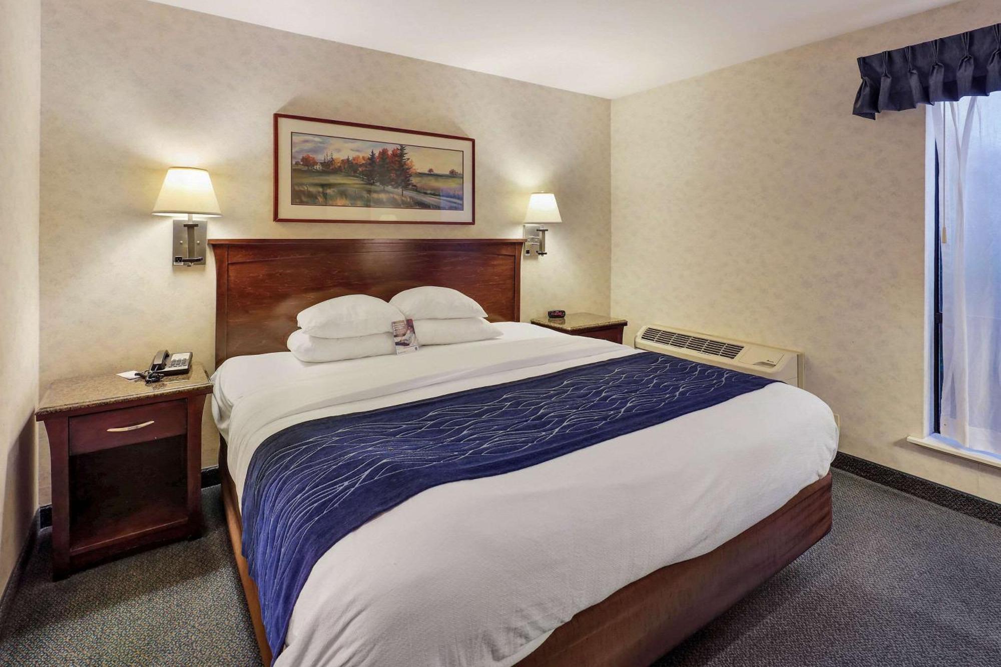 Comfort Inn Bellingham Extérieur photo