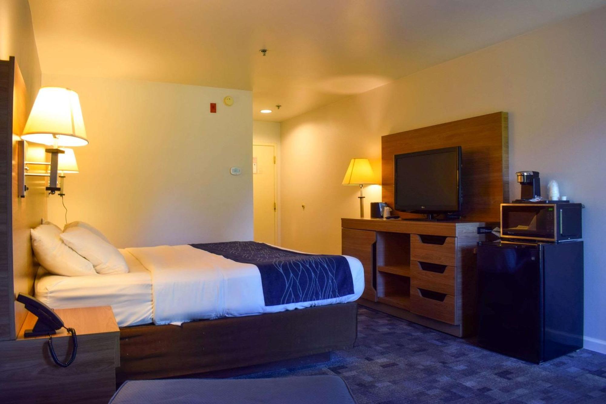 Comfort Inn Bellingham Extérieur photo