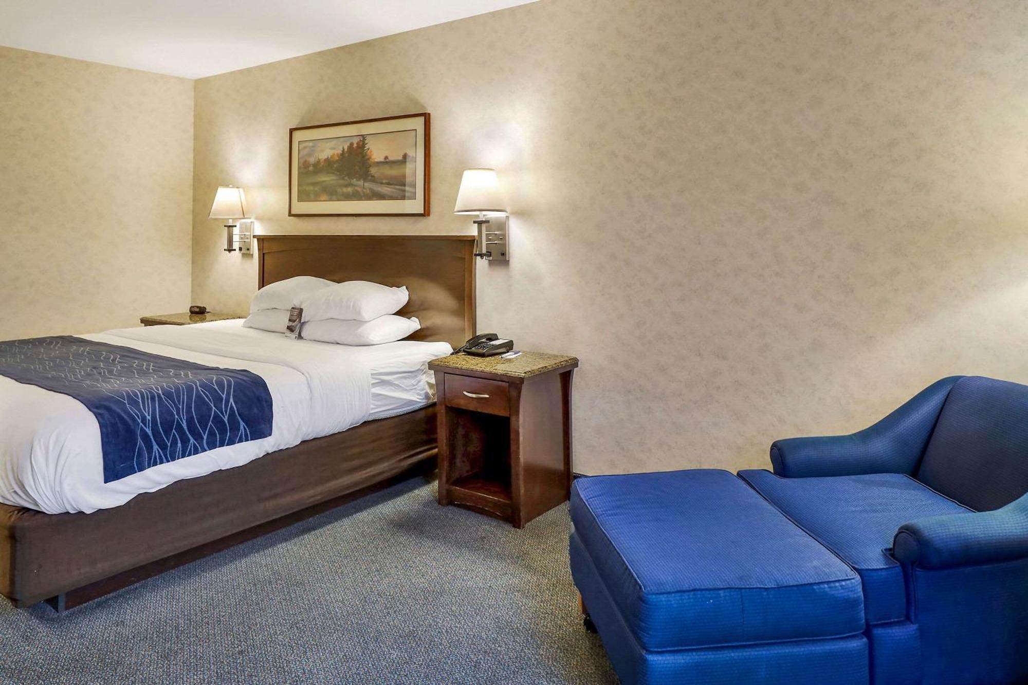 Comfort Inn Bellingham Extérieur photo