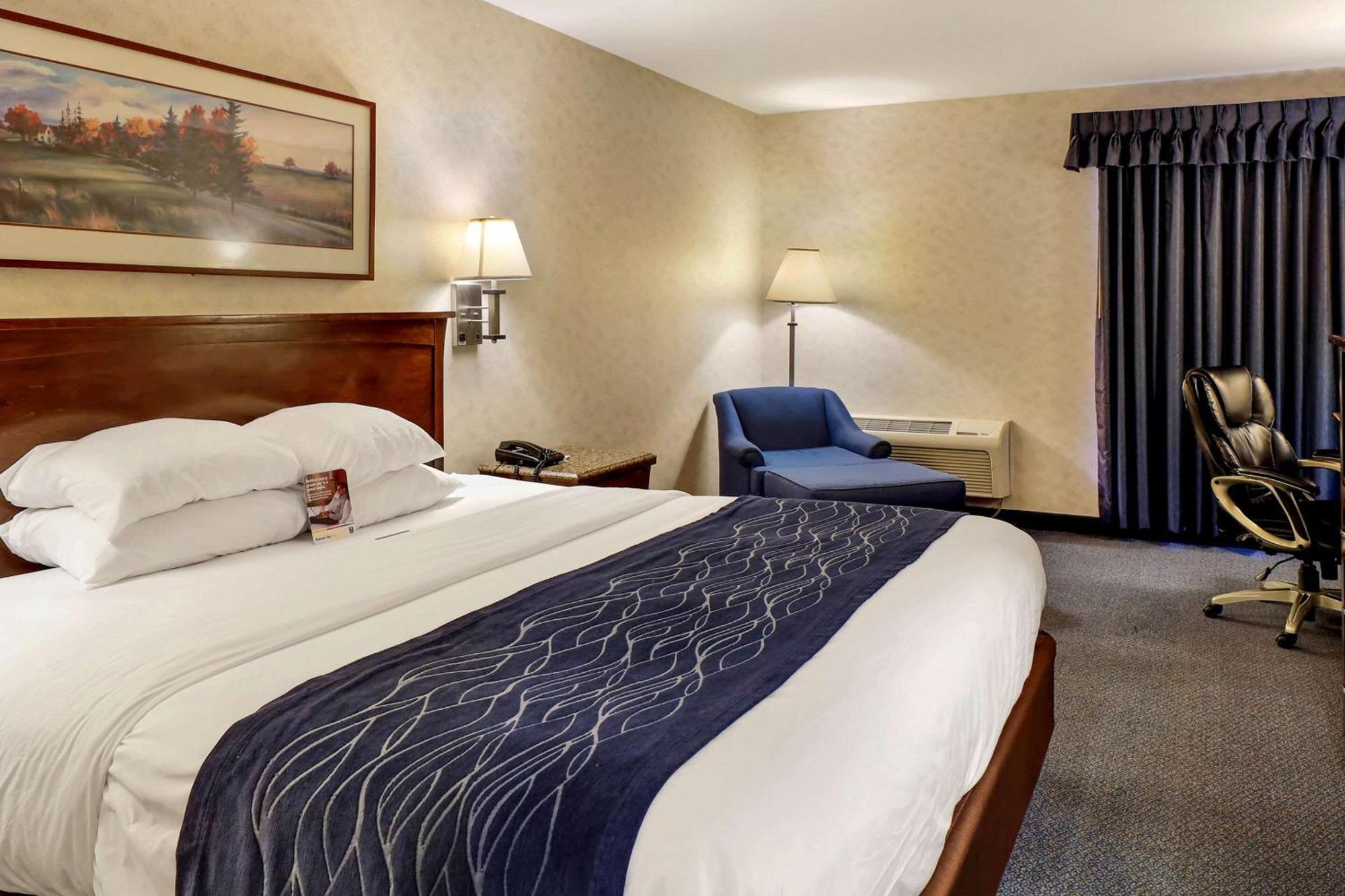 Comfort Inn Bellingham Extérieur photo
