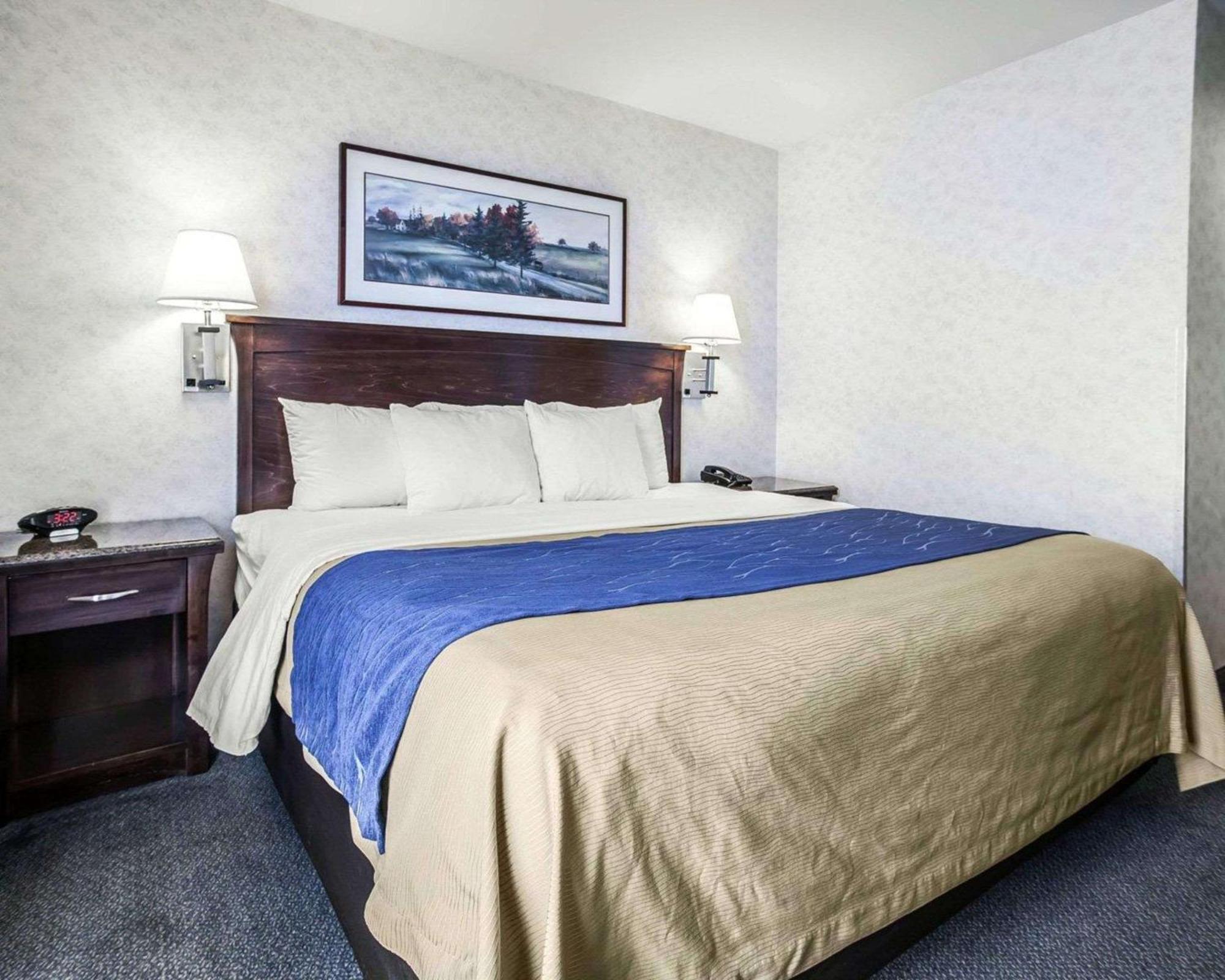 Comfort Inn Bellingham Extérieur photo