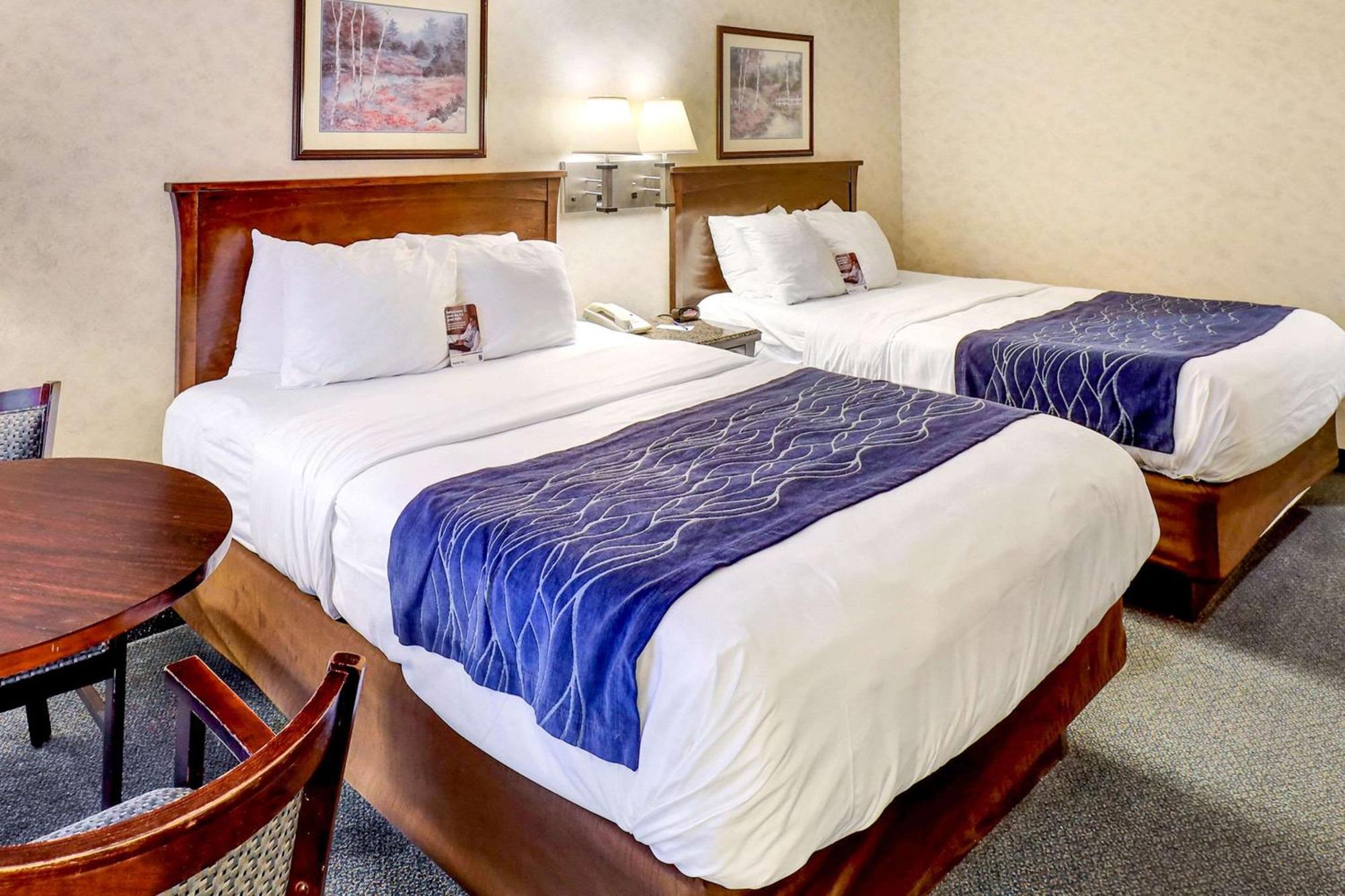 Comfort Inn Bellingham Extérieur photo