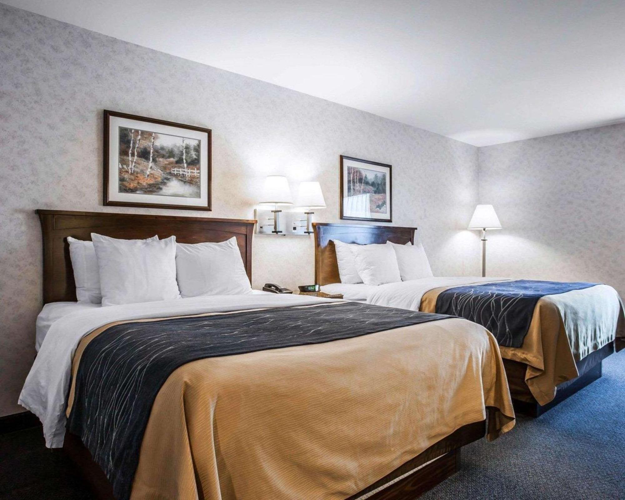 Comfort Inn Bellingham Extérieur photo