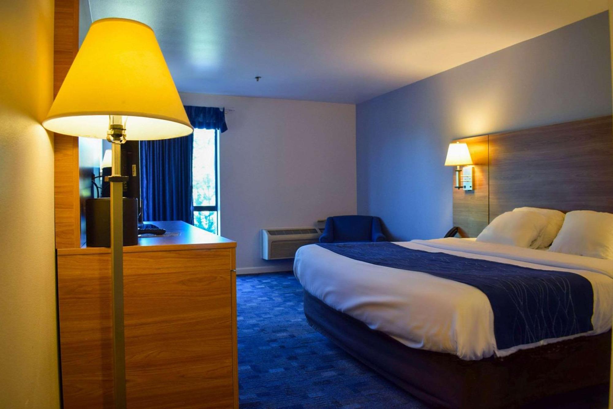 Comfort Inn Bellingham Extérieur photo