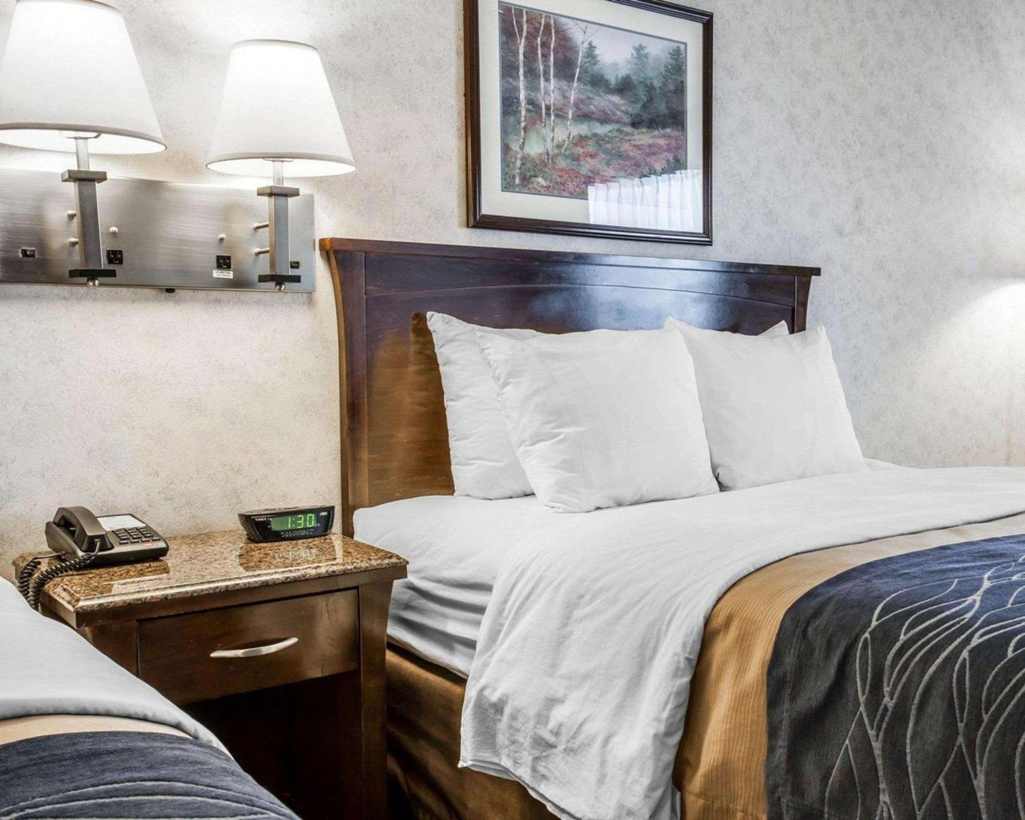 Comfort Inn Bellingham Extérieur photo